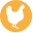 Colis d’aiguillettes de poulet – 3kg environ